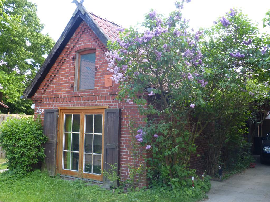 Ferienhaus Elbtalaue Bleckede Phòng bức ảnh